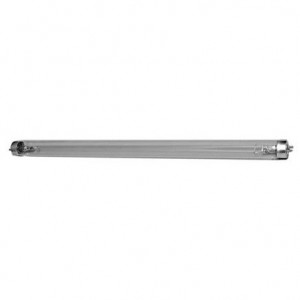TUBO LAMPARA GERMICIDA FLUORESCENTE 8WATTS LUZ ULTRAVIOLETA  G8T5 LUMMI